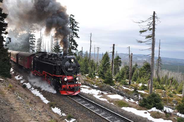 Den Harz auf besondere Weise entdecken � das geht nicht nur mit der Brockenbahn.
